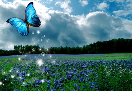 ✰Blue Butterfly Summer✰ - pretty, summer, scenery, blossom, spring, photomanipulation, flowers, plants, seasons, shines, blooms, sparkle, digital art, colors, love, dazzling, wings, butterfly, cute, animals, flutter, creative pre-made, splendor, flying, Butterfly Designs, view, sky, clouds, trees, beautiful, fields, scenic, cool, lovely, florals, colorful, bright