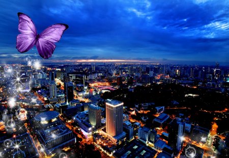 ✰Purple Butterfly in the City✰