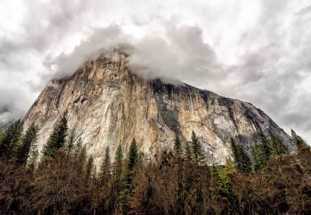 Yosemite Valley, California - mountains, trees, nature, snow