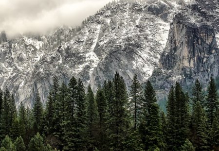 Yosemite Valley, California - Trees, Mountains, Snow, Nature