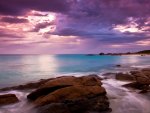 beautiful magenta sky over a seashore