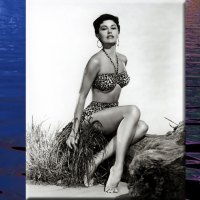 Cyd Charisse11