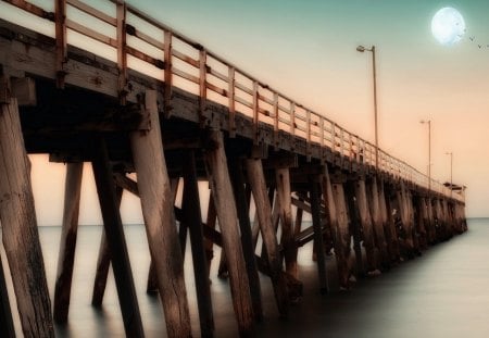 wonderful wooden pier undr moon hdr - moon, pier, sea, birds, wood, hdr