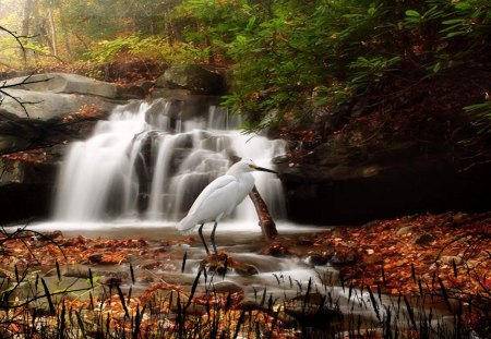 All Is Calm - water, nature, waterfall, flowing