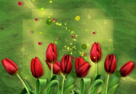 Tulips - tulips, summer, spring, yellow, pretty, beautiful, red, green, leaves, flowers