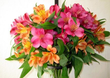 *** Alstromeria *** - flowers, nature, bouquet, alstromeria