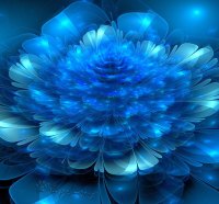 **Blue Petals of Summer**