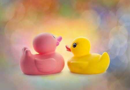 Ducks - ducks, pink, duck, photo, colors, color, tellow