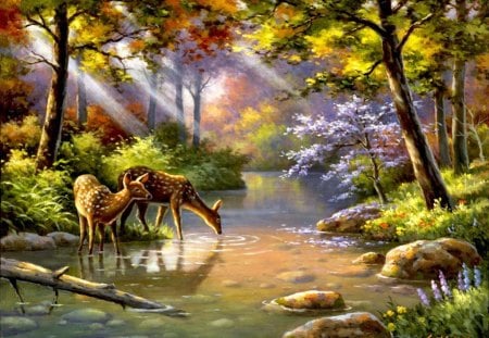 Forest beauty - sun, sunbeam, stream, shine, creek, art, river, artwork, wildlife, branches, landscape, light, deer, nature, stonesm, glow, forest, beautiful, animal, stones, wide screen, nice, beauty, trees, water, painting, quiet, pretty, calmness, tree, rays, sunlight, lovely, serenity, flowers, roe