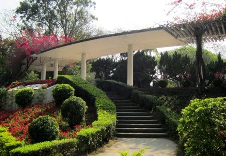 Beautiful park - park, grass, bougainvillea, beautiful