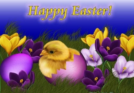 Happy easter to all!!!!!!!! - easter, chicken, flower, spring