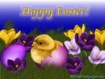 Happy easter to all!!!!!!!!