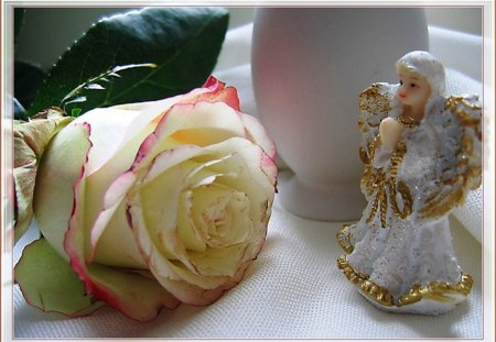 Rose - delicate, special, angel, flower, petals, white, nature, single, rose, gift