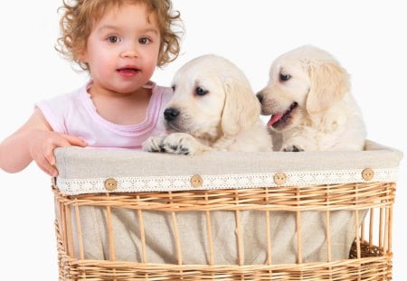 Love In A Basket - Dogs, Girl, Puppies, Basket