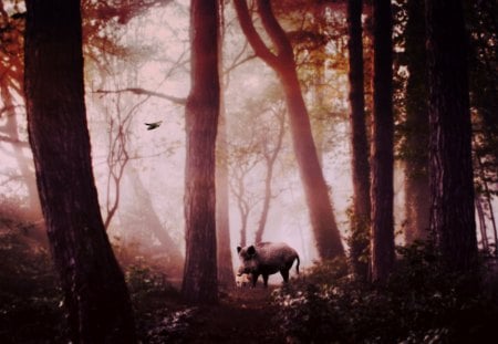 motherly care... - nature, forest, trees, mist