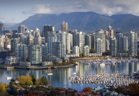 beautiful city harbor - marina, skyscrapers, harbor, city, mountains