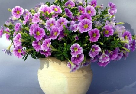 Purple flowers vase - nature, purple, flowers, vase, flower