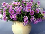 Purple flowers vase