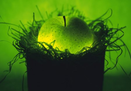 Fruits - food, fruits, green, lights