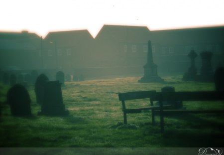 Thorne, United Kingdom. - nature, cemetery, creepy nature, creepy