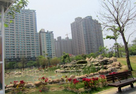 Lovely pond - lotus, pond, lovely, city, park