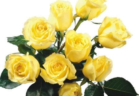 beautyfulyellowroses - pretty, Bouquet, yellow, gorgeous