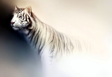 Spirit of Tiger - white, predator, artwork, cat, stripes