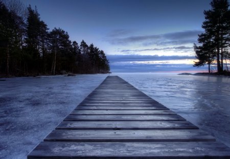 wooden pier in a cove at dusk - trees, cove, wood, dusk, pier