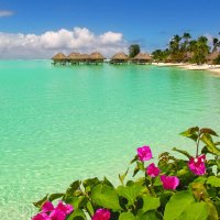 Bora Bora beach and water bungalows