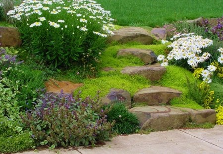 Garden - nature, flowers, garden, grass