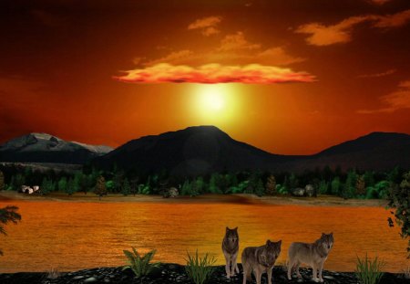 Glowing 1920x1080 - sunsets, lakes, mountains, wolf, wolves, animals, water, sunset