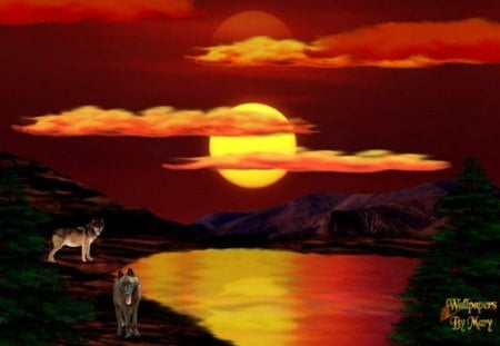 Reflections - Mountains, Animals, Water, Nature, Lakes, Wolves, Sunsets, Wolf