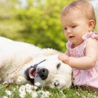 cute  girl playing with dog