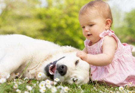 cute  girl playing with dog