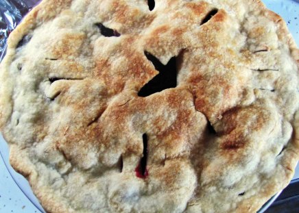 Blueberry Pie - blueberry dessert, Blueberry Pie, pie, blueberry, dessert