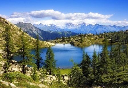 Mountain lake - clouds, pines, trees, snowy peaks, landscapes, forest