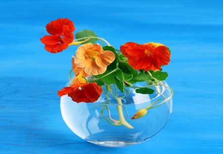 Flowers in glass vase - vase, Flowers, yellow, red, other