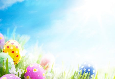 Easter Eggs - sky, fresh, sunshine, light, colorful, easter, meadow, spring, eggs, holidays, pastel, green, flowers, grass