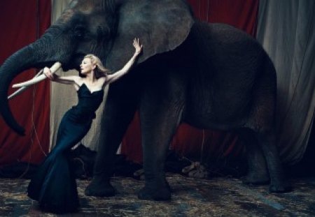 Cate - cate, elephant, cool, dress