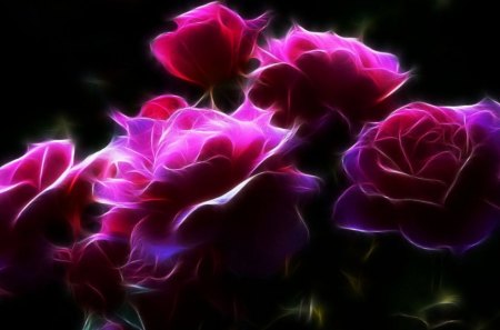 Fractal Roses