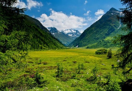 Tyrol-Austria - pretty, quiet, summer, grass, mountain, calmness, nice, sky, clouds, greenery, national park, Europe, beautiful, snowy, Austria, lovely, freshness, peaks, slopes, nature, green, delight, serenity, tyrol