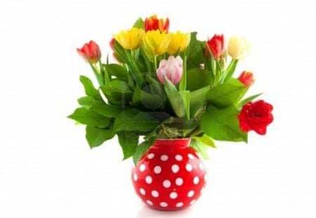 Colorful tulips in the vase - white, yellow, pink, red