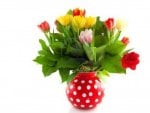 Colorful tulips in the vase