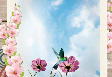 Spring Shot - sky, blooms, spring, bird, picture, sakura, blossoms, fleurs, hummingbird, flowers, photo