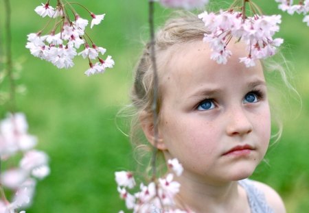 nature love - flower, child, pink, girl, nature, grass