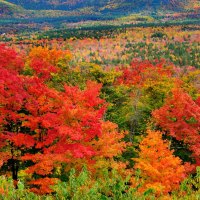 Spectacular Autumn Landscape