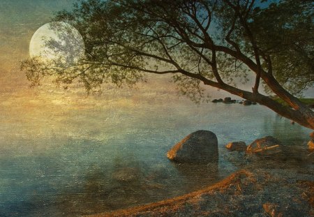 Evening shore - moon, lake, evening, tree, shore