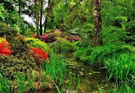 GARDEN - nature, landscape, trees, park, shrubs, pond, garden