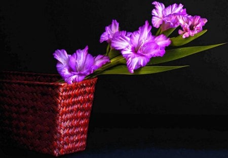 FLOWERS - flowers, strand, basket, nature