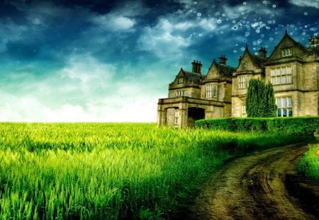 Estate - dirt road, road sign, cloudy sky, house, grass